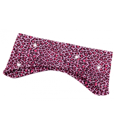 bandeau-sagester-537 (1).jpg